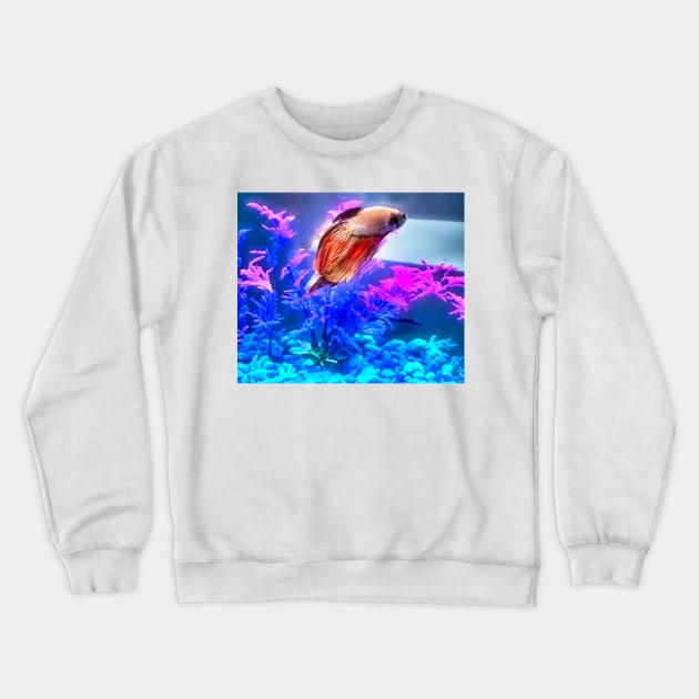 Beautiful Beta Fish Crewneck Sweatshirt by PandLCreations